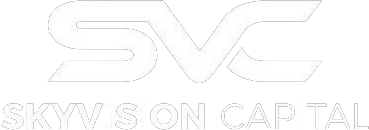 Skyvision capital